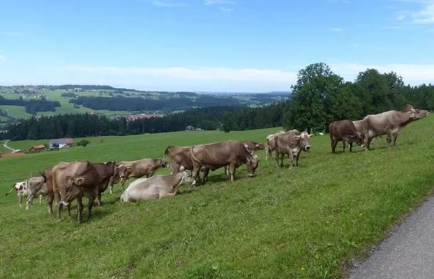Ferienhof Mangold